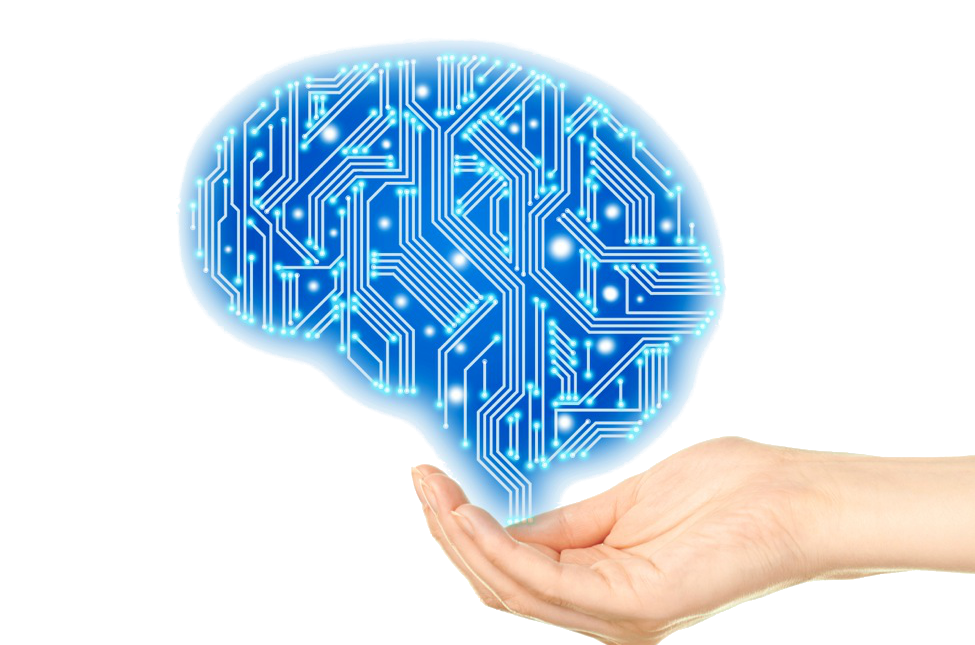 Dealing with Bots: Know Your Customer (KYC) - Stop Spam Bots | Insights