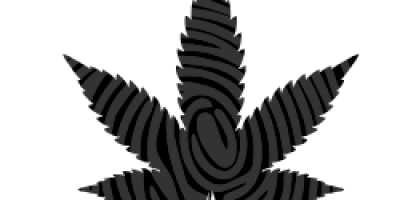 Insufficient Age Verification Could Derail the Cannabis Industry